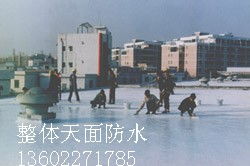 廣州市番禺區(qū)臺(tái)實(shí)防水補(bǔ)漏防腐工程公司 專業(yè)管道疏通服務(wù)與品牌生產(chǎn)供應(yīng)商